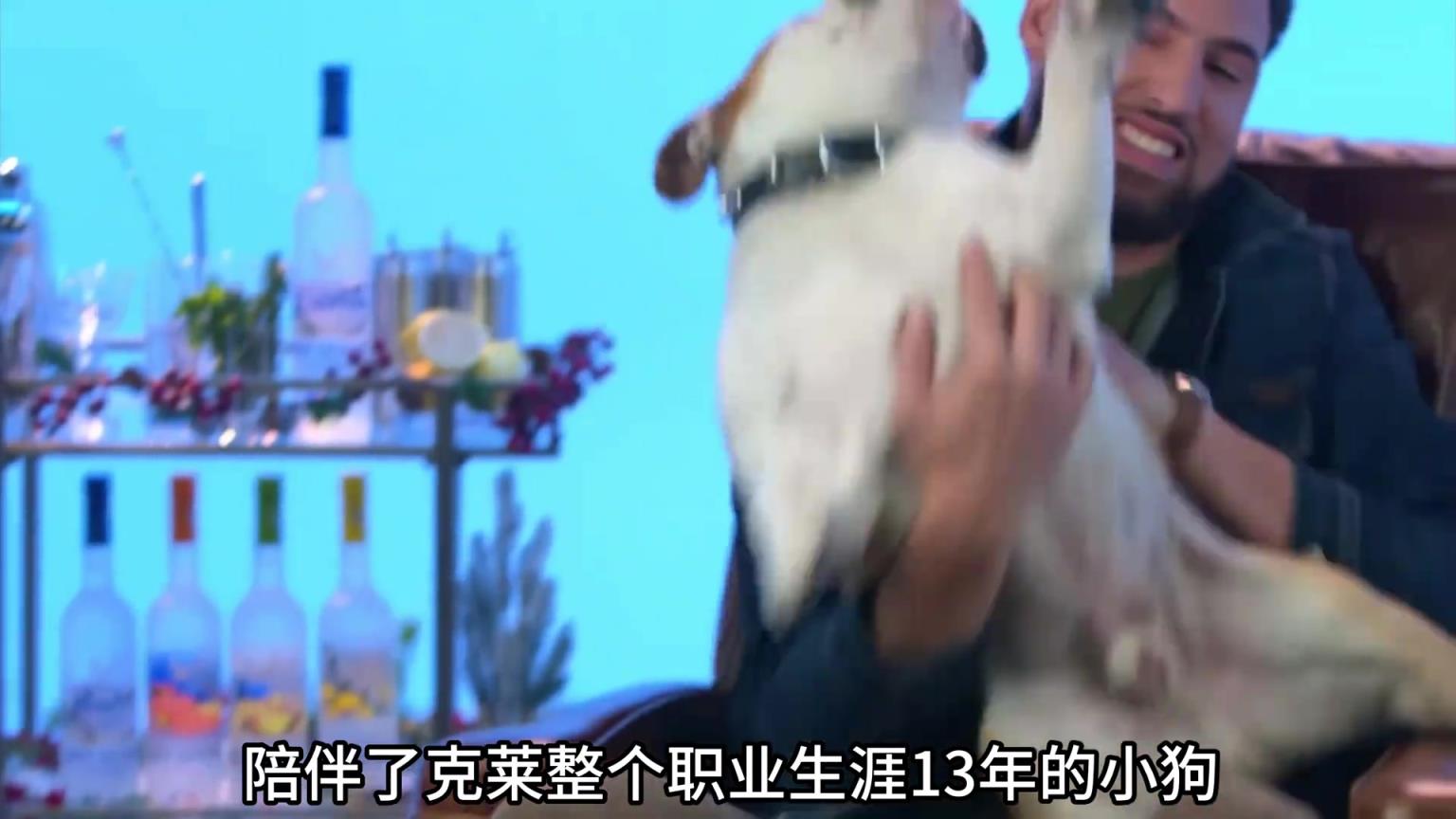 陪伴克萊13年的小狗去世了，不敢相信克萊得多么傷心